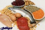 مصرف بالای پروتئین به احساس سیری کمک می کند