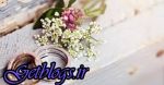 شورای امنیت امروز راجع به نشست پایتخت کشور عزیزمان ایران تصمیم می‌گیرد