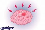 تصاویر) + حقایق شگفت انگیزی راجع به مغز (